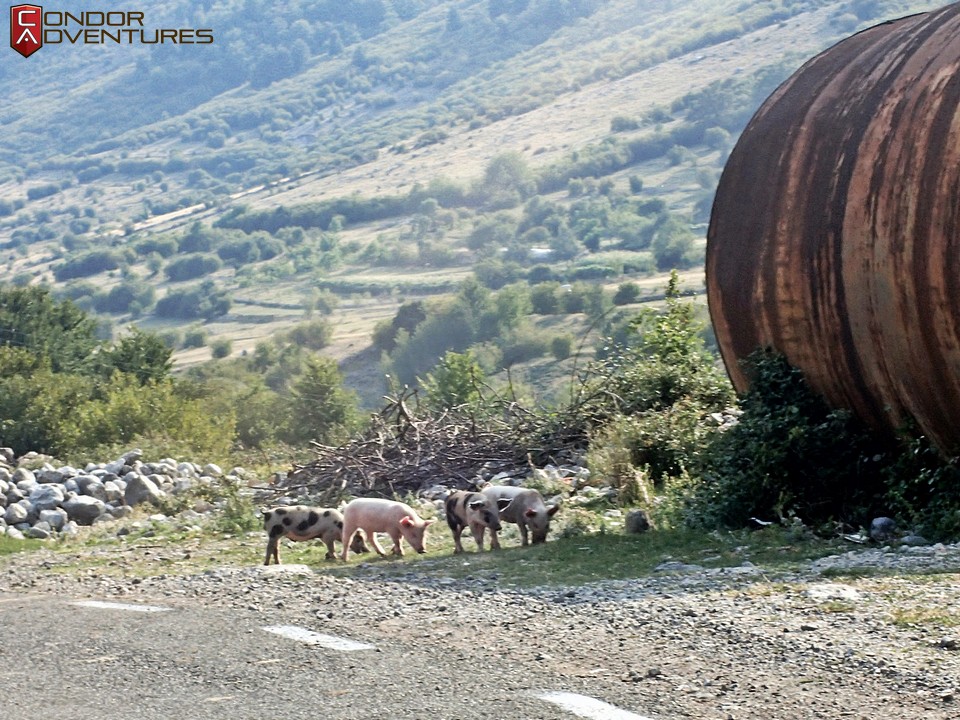 explorealbania-motoros túra-condorriders-sasok földje-albánia-SH21-albán alpok-albanian alps-theth