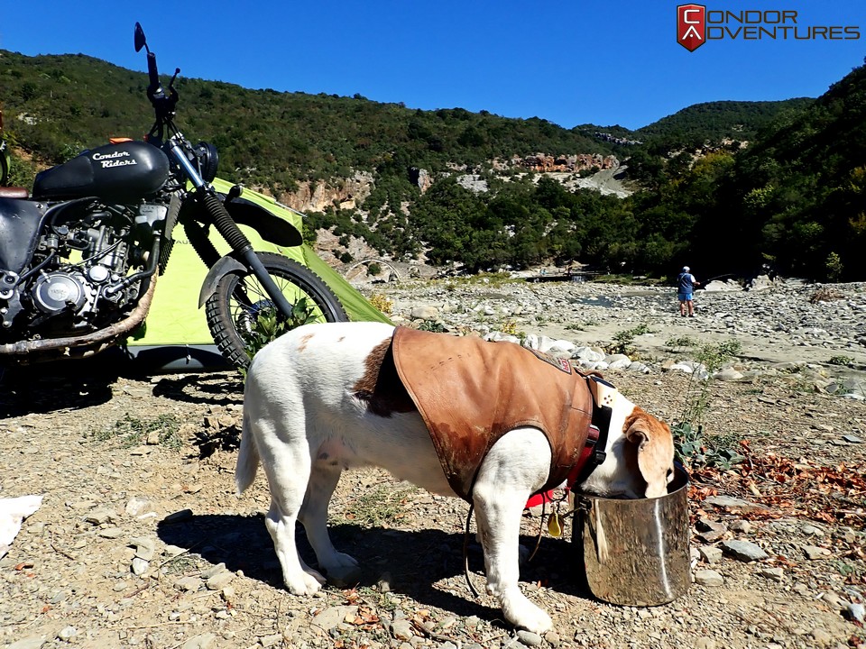 biker dog-brigi-explorealbania-motoros túra-condorriders-sasok földje-albánia-permet-thermal bath-termálfürdő